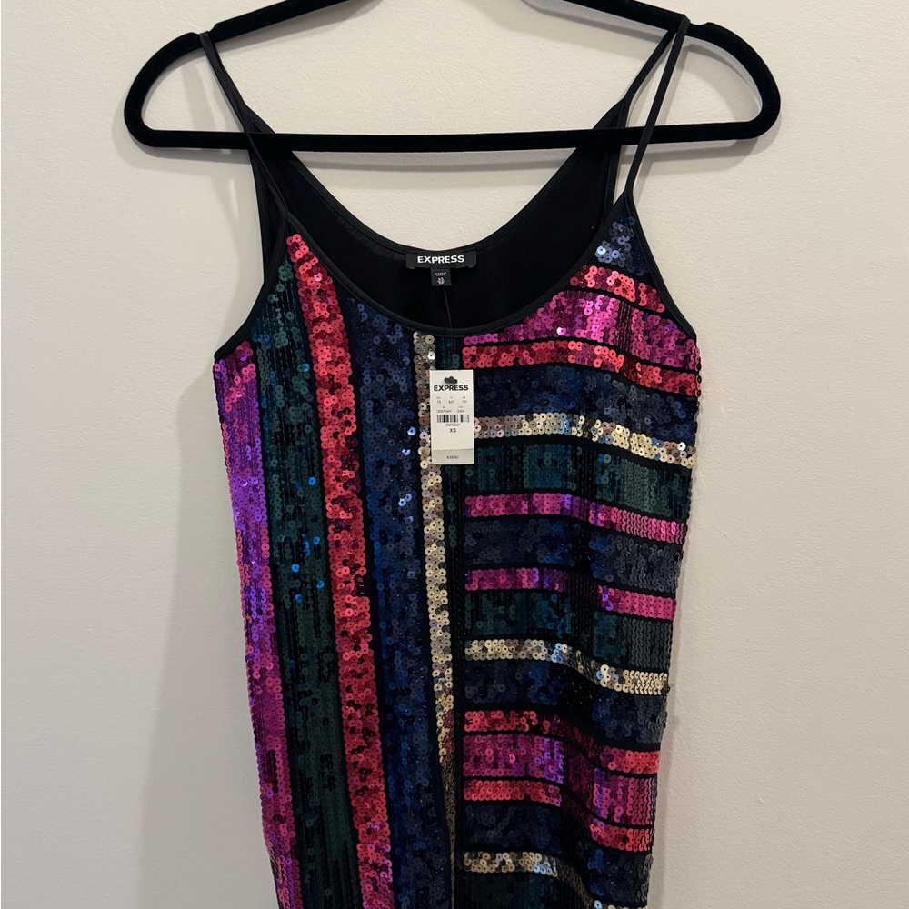 Express Multicolor Sequin Striped Women's Top